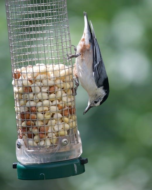 vicohome bird feeder manual